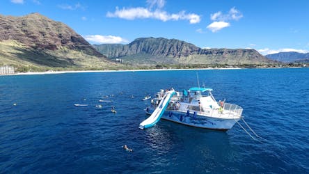 Join a dolphin cruise around West O’ahu with snorkling and a lunch box